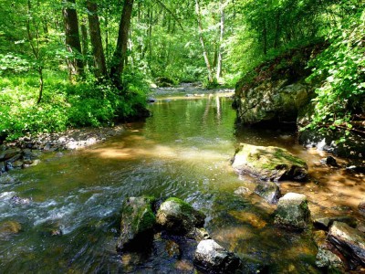 Traumschleife Hunolsteiner Klammtour (Morbach)